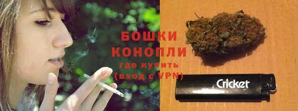прущие крисы Заводоуковск