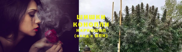 прущие крисы Заводоуковск